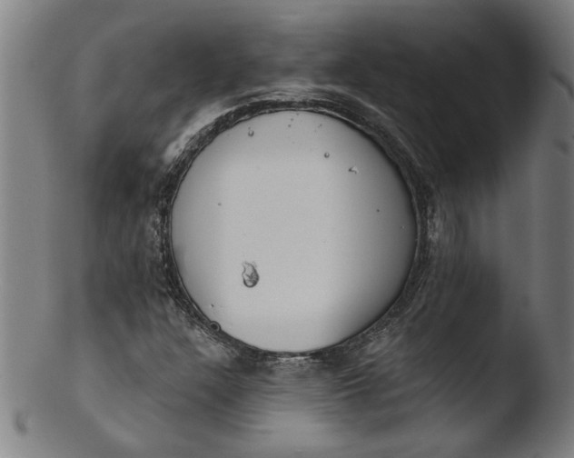 X0000103421304200809261657