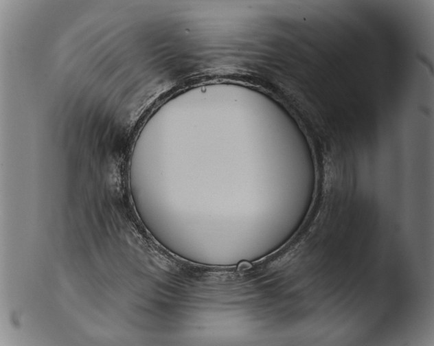 X0000103421305200809261657