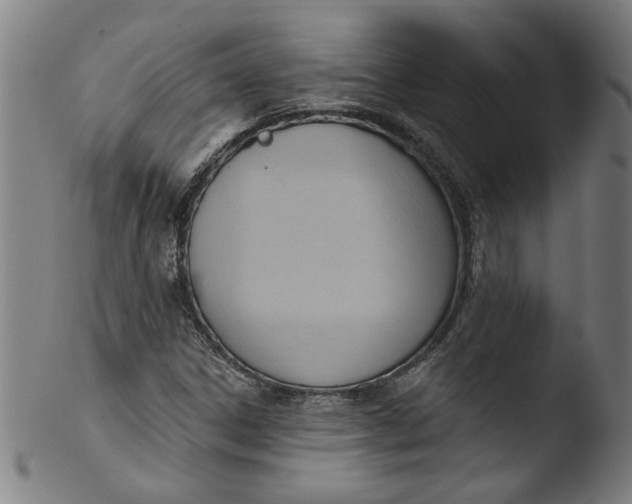 X0000103421306200809261657
