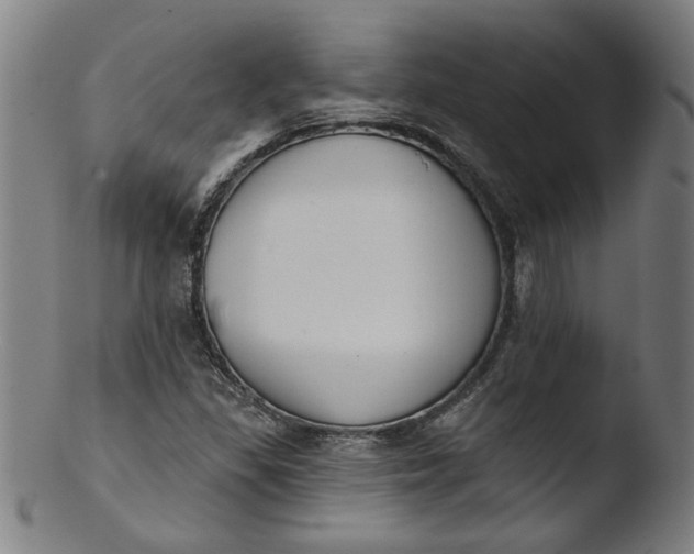 X0000103421309200809261657
