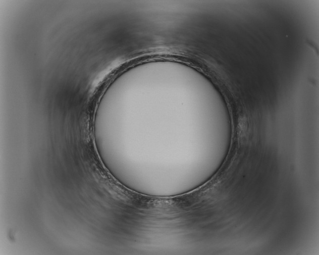 X0000103421310200809261657
