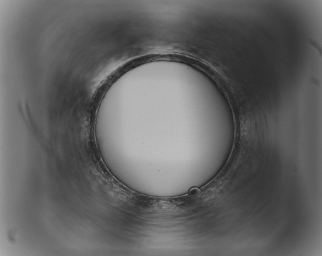 X0000103421311200809261657