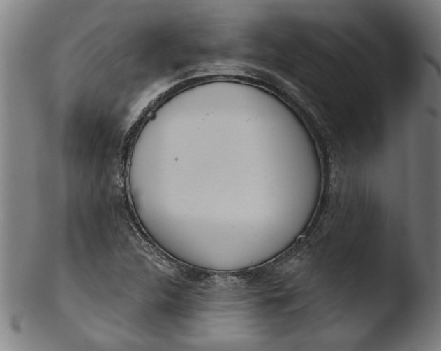 X0000103421312200809261657