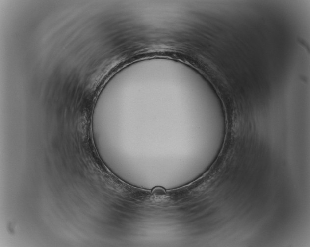 X0000103421313200809261657