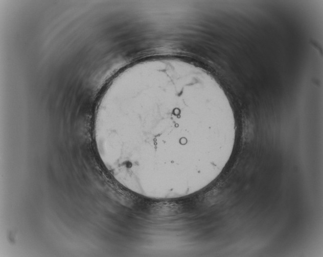 X0000103421314200809261657