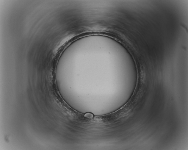 X0000103421315200809261657