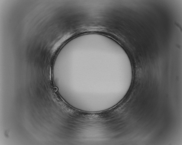 X0000103421317200809261657