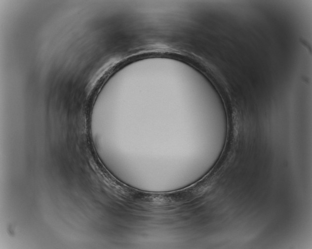 X0000103421318200809261657