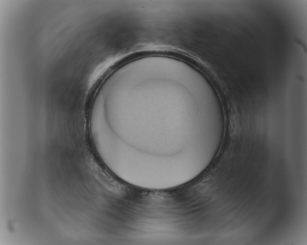 X0000103421319200809261657