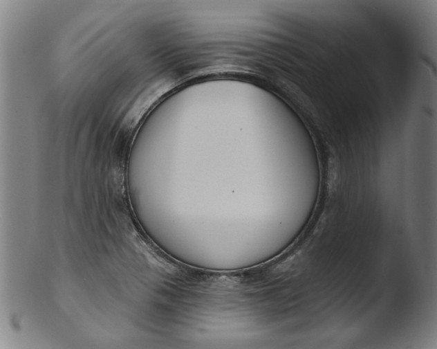 X0000103421321200809261657