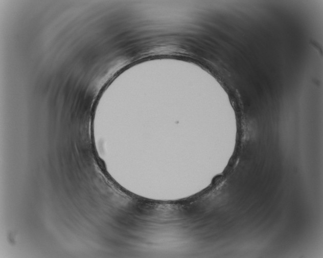 X0000103421322200809261657