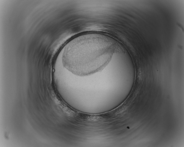X0000103421323200809261658