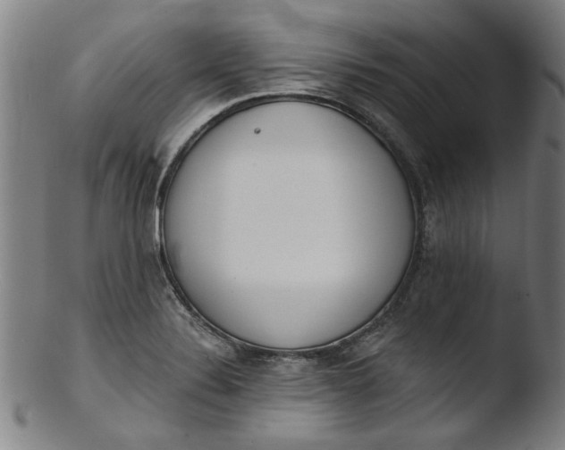 X0000103421324200809261658