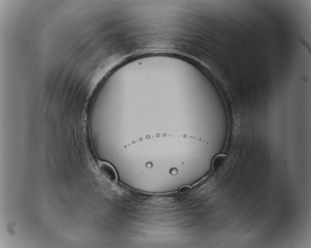 X0000103421325200809261658