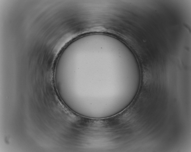 X0000103421326200809261658