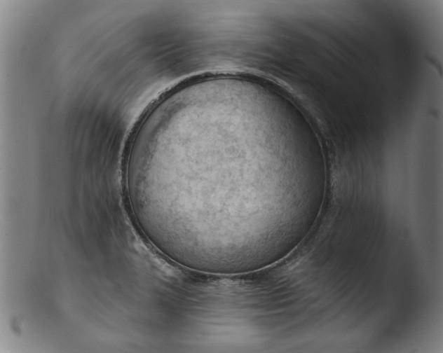 X0000103421327200809261658
