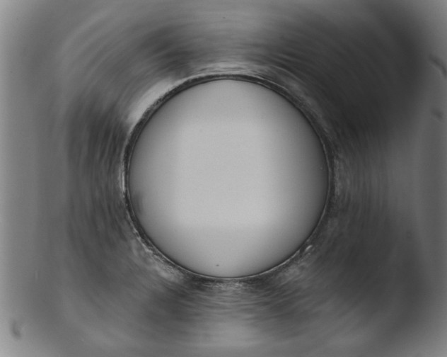 X0000103421328200809261658