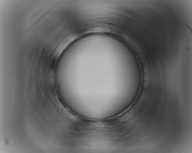 X0000103421329200809261658