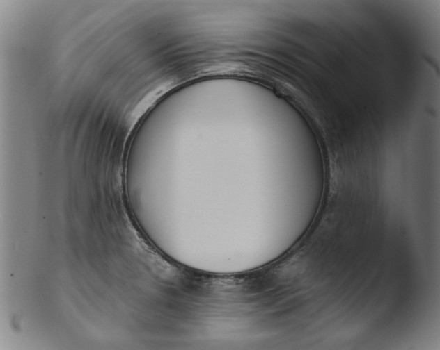 X0000103421330200809261658