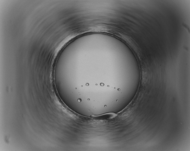 X0000103421331200809261658