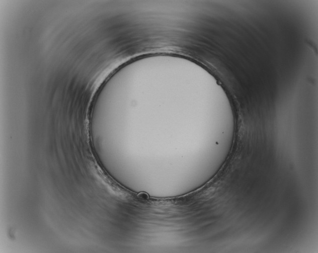 X0000103421332200809261658