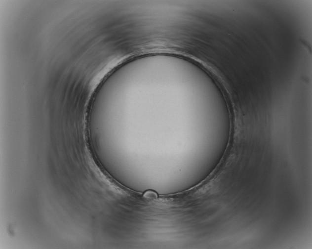 X0000103421333200809261658