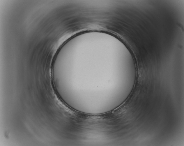 X0000103421335200809261658
