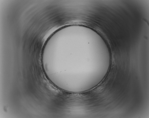 X0000103421336200809261658