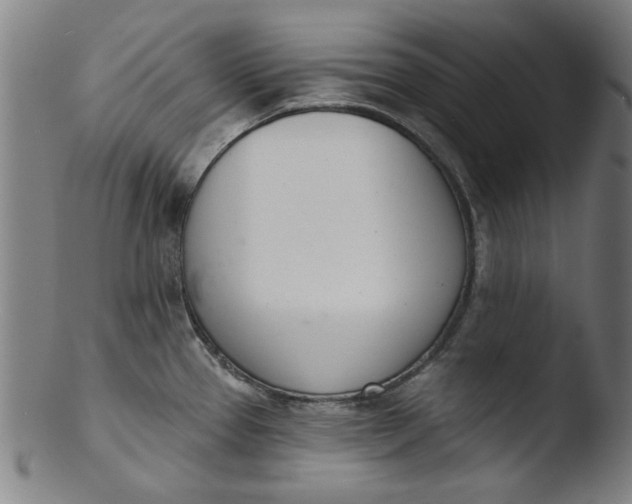 X0000103421337200809261658
