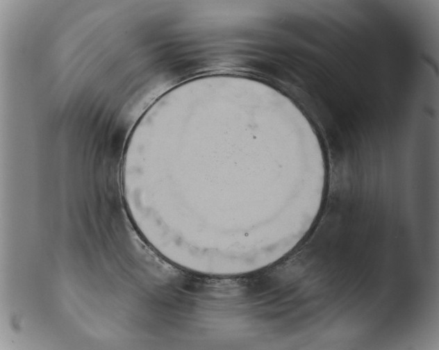 X0000103421338200809261658