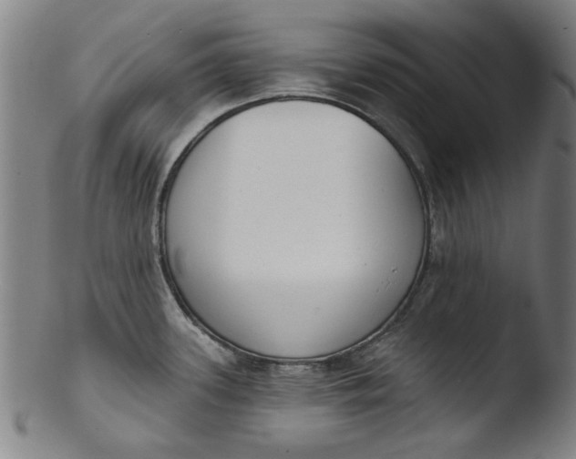 X0000103421339200809261658