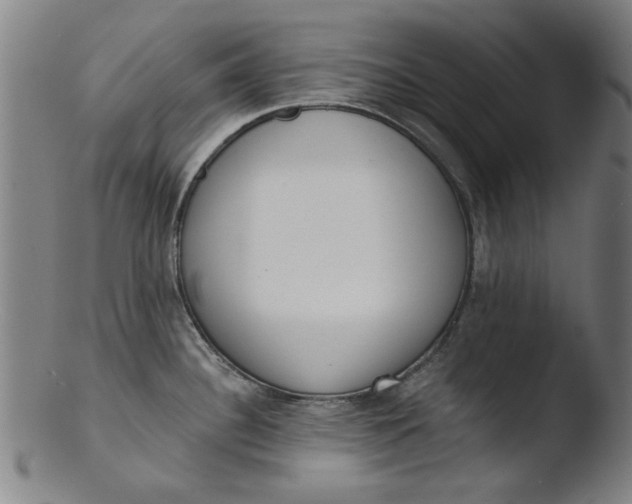 X0000103421340200809261658