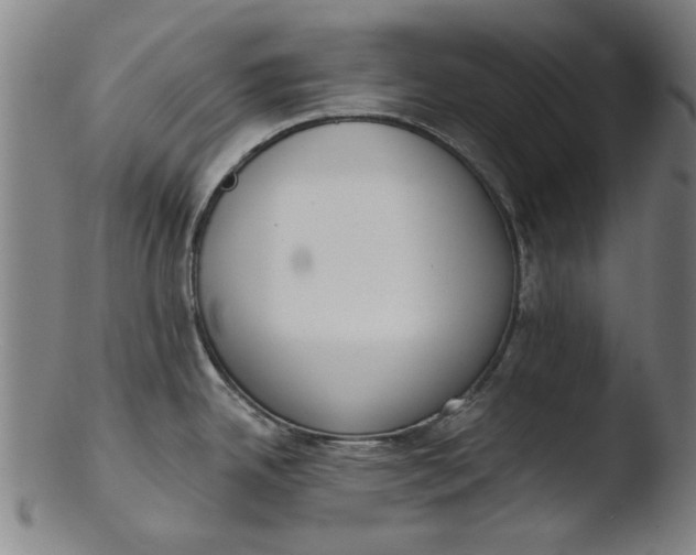 X0000103421342200809261658