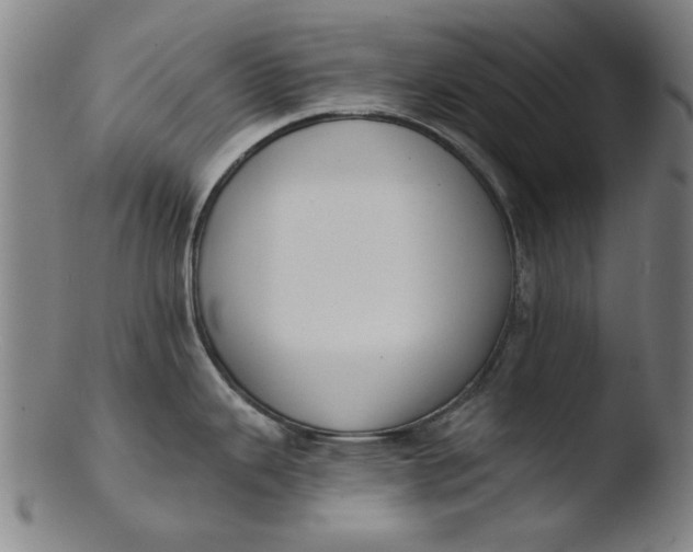 X0000103421343200809261658