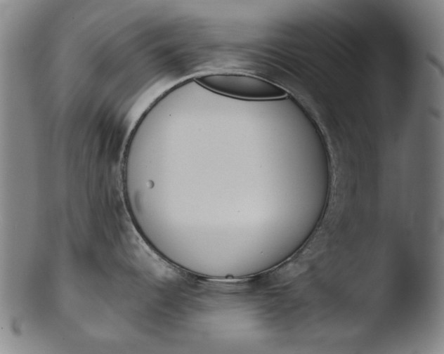 X0000103421344200809261658