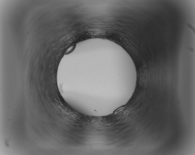 X0000103421345200809261657