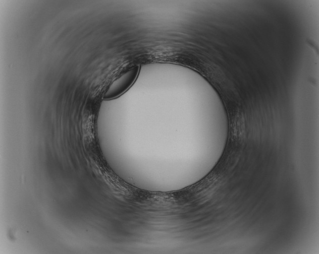 X0000103421346200809261657