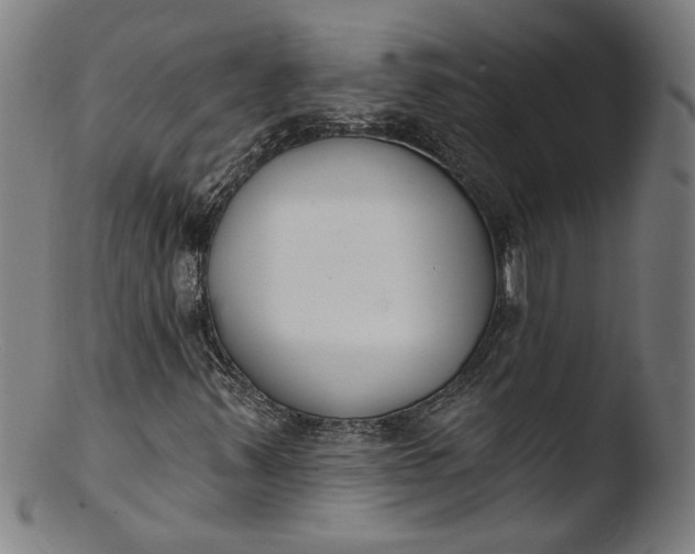 X0000103421347200809261657