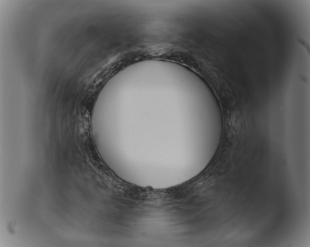 X0000103421349200809261657