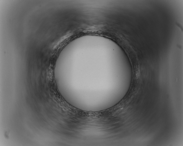 X0000103421350200809261657