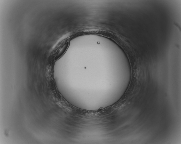 X0000103421351200809261657