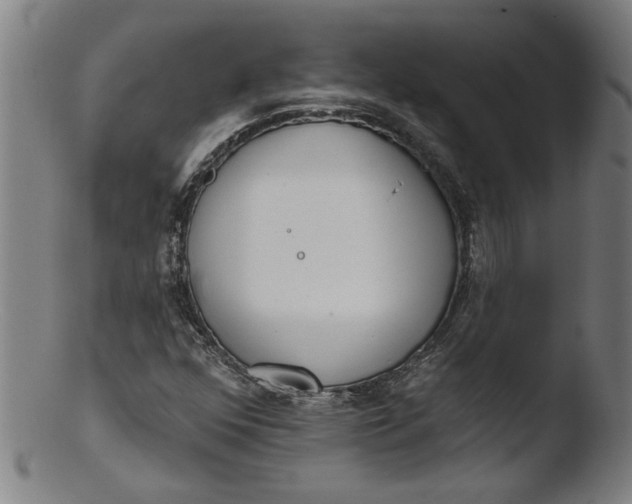 X0000103421352200809261657