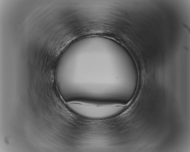 X0000103421353200809261657