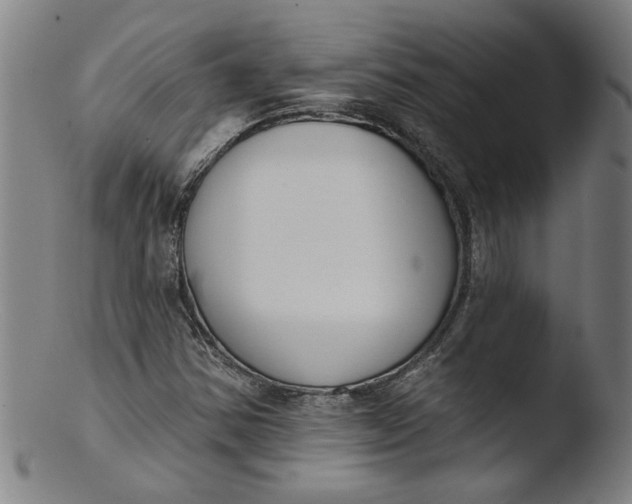 X0000103421354200809261657