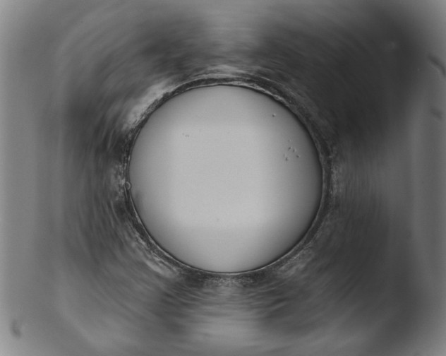 X0000103421355200809261657