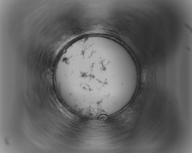X0000103421356200809261657