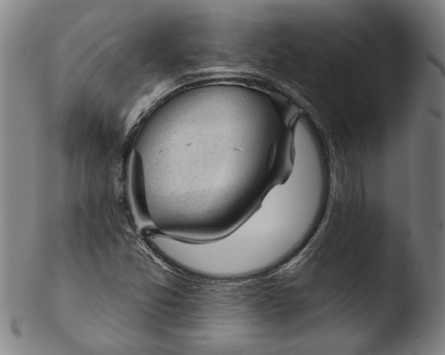 X0000103421357200809261657