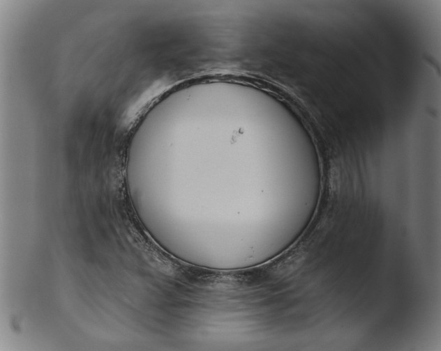 X0000103421359200809261657