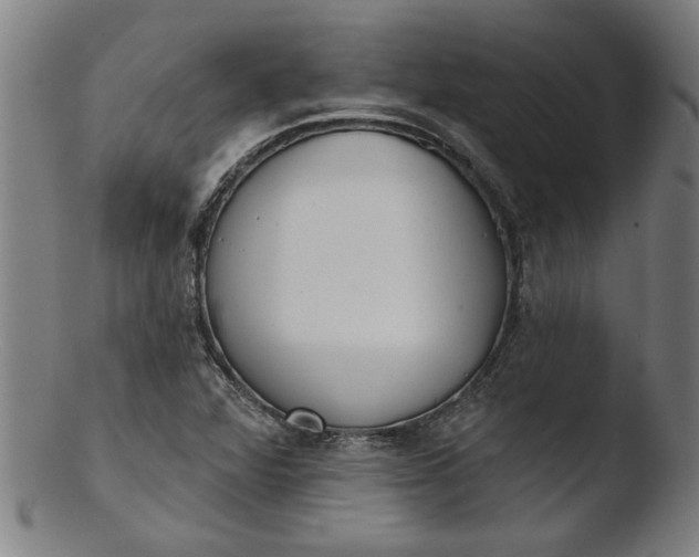 X0000103421360200809261657