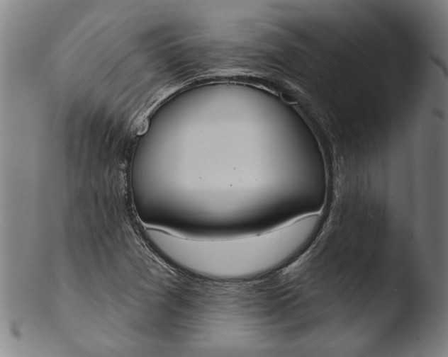 X0000103421361200809261657